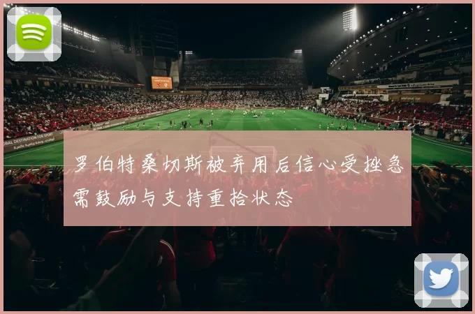 罗伯特桑切斯被弃用后信心受挫急需鼓励与支持重拾状态