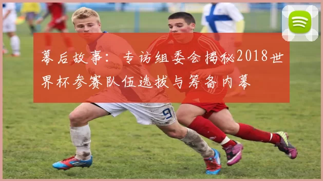 幕后故事:专访组委会揭秘2018世界杯参赛队伍选拔与筹备内幕