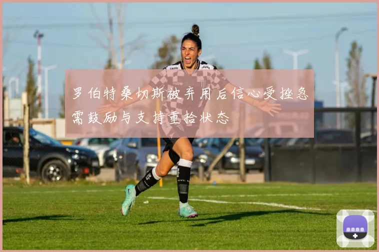罗伯特桑切斯被弃用后信心受挫急需鼓励与支持重拾状态