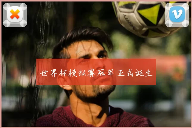 世界杯模拟赛冠军正式诞生