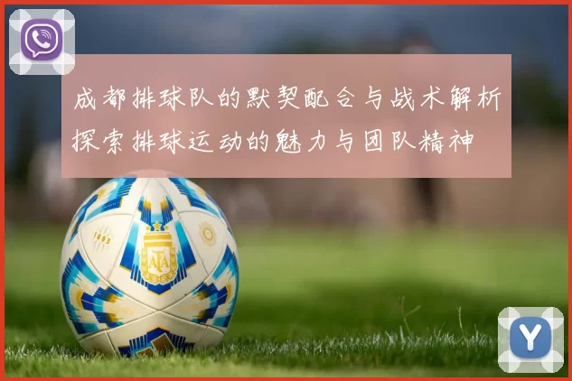 成都排球队的默契配合与战术解析探索排球运动的魅力与团队精神