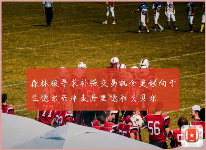 森林狼寻求补强交易机会更倾向于兰德尔而非麦丹里德和戈贝尔