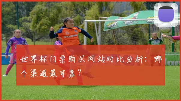 世界杯门票购买网站对比分析：哪个渠道最可靠？