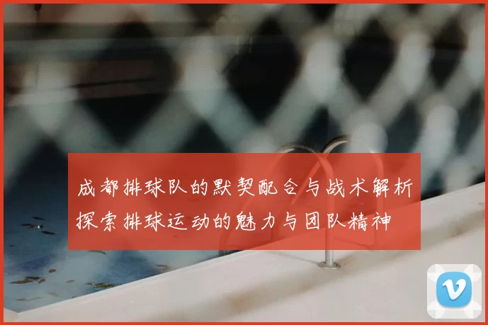成都排球队的默契配合与战术解析探索排球运动的魅力与团队精神