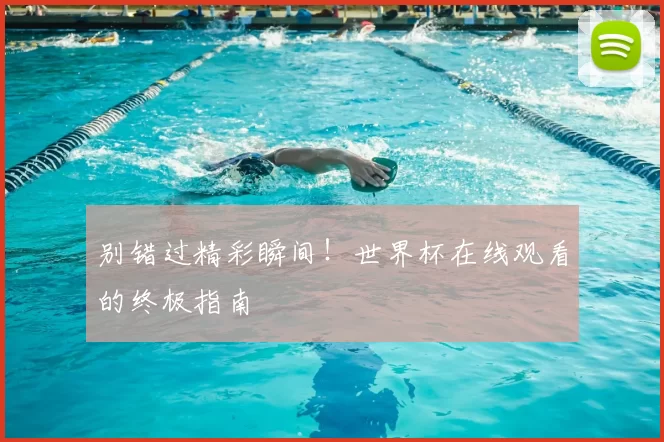 别错过精彩瞬间！世界杯在线观看的终极指南